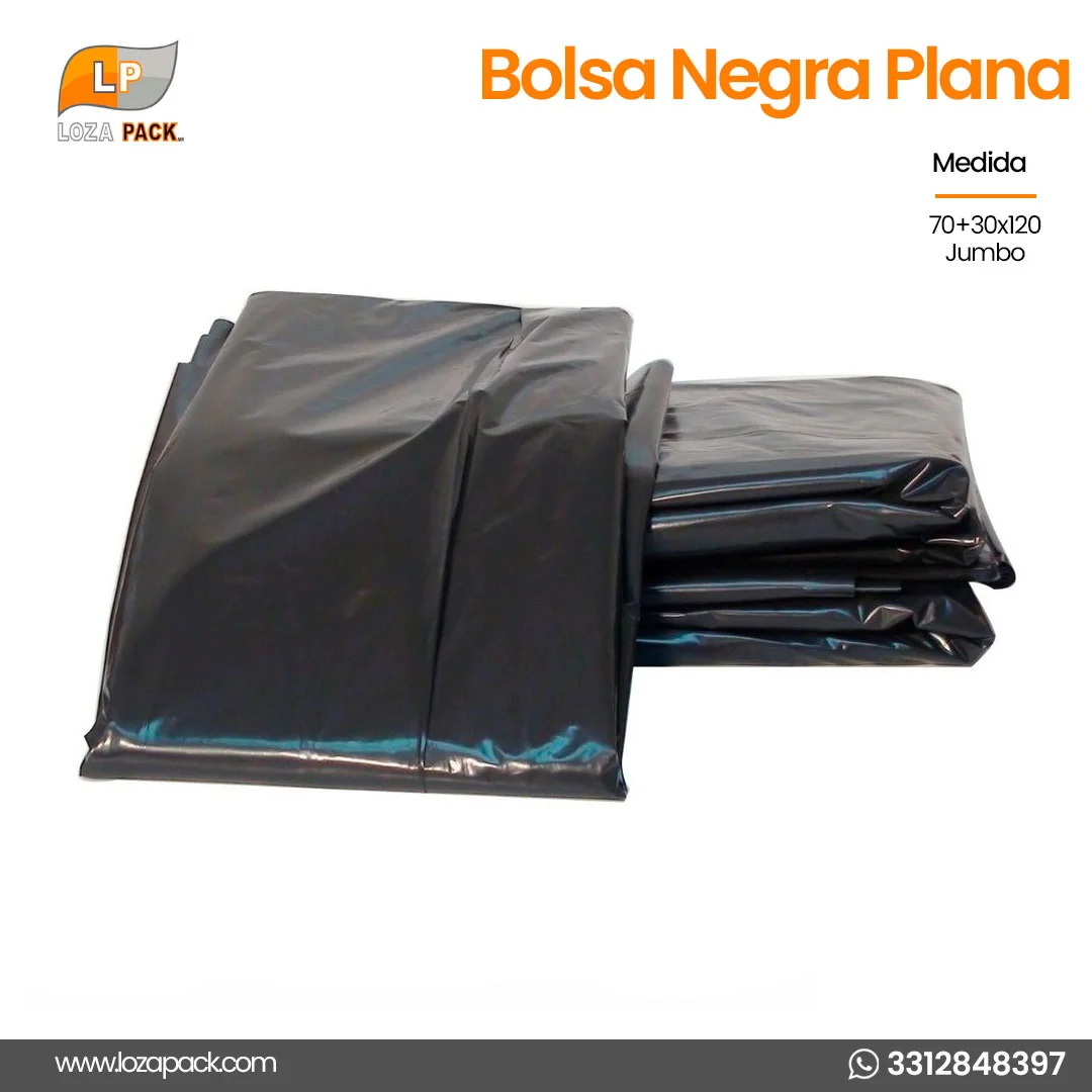 Bolsa negra plana